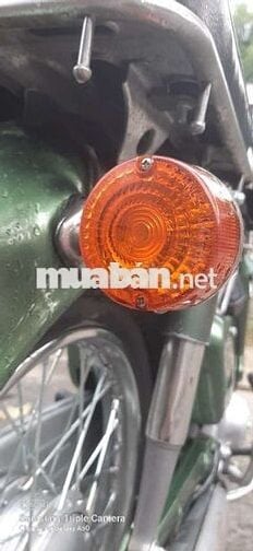 Honda Super Cub 50 81 Xanh lá