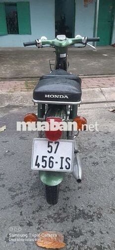 Honda Super Cub 50 81 Xanh lá