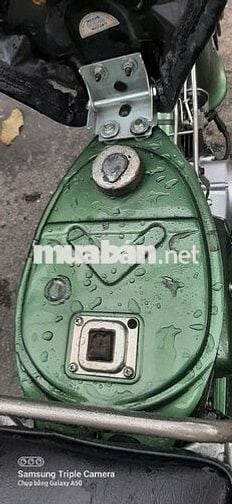Honda Super Cub 50 81 Xanh lá