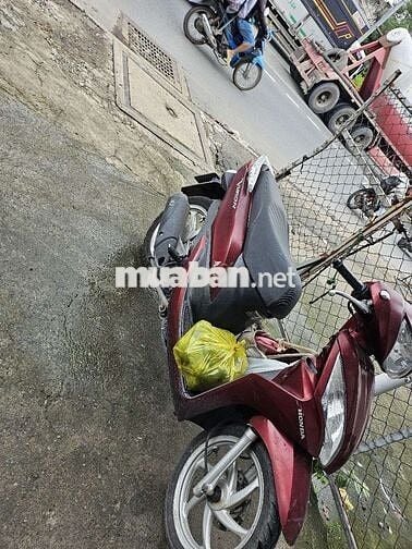 Vision chính biển sài gòn em nhà may đồ ít đi