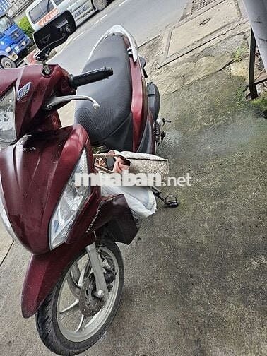 Vision chính biển sài gòn em nhà may đồ ít đi