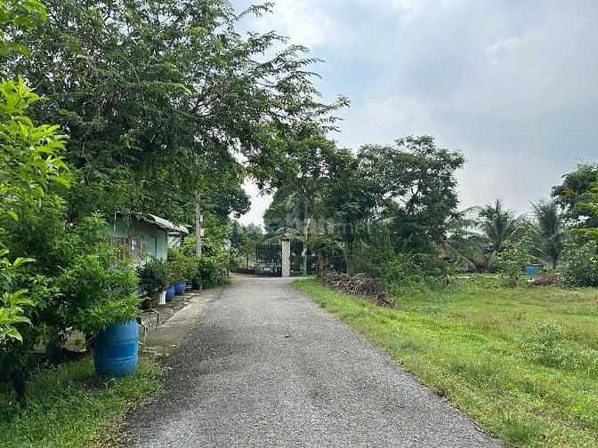 Bán nhà Xã Thái Mỹ Củ Chi TPHCM