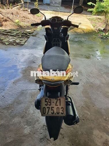 Nouvo 5 - 2012 vàng đen