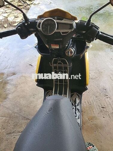 Nouvo 5 - 2012 vàng đen