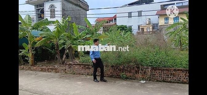 Chính chủ bán 57m2 full thổ cư Tổ 9 Quang Minh – ô tô tránh, siêu đẹp