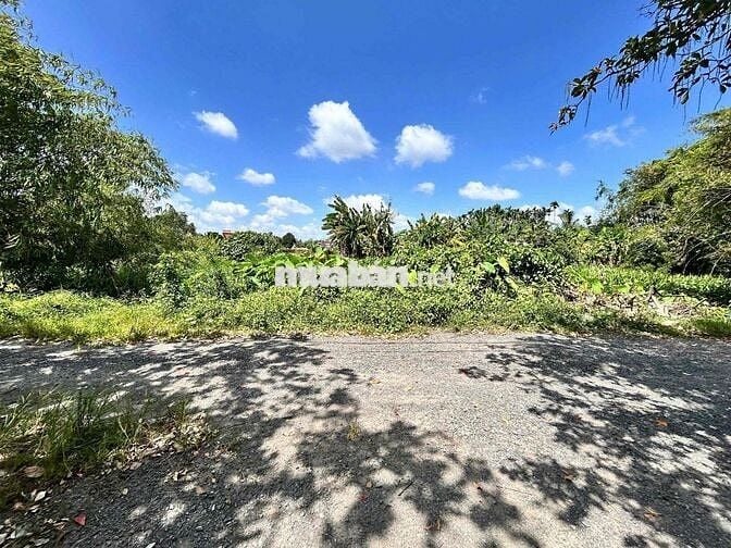 Chủ gởi bán 4900m2 đất thổ cư cầu ông Huyện Bình Mỹ