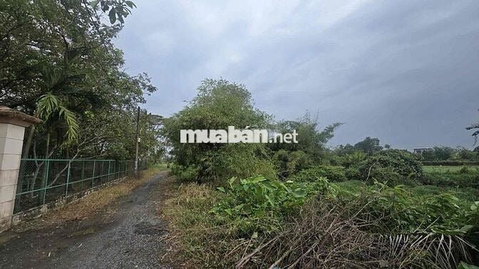 Chủ gởi bán 4900m2 đất thổ cư cầu ông Huyện Bình Mỹ