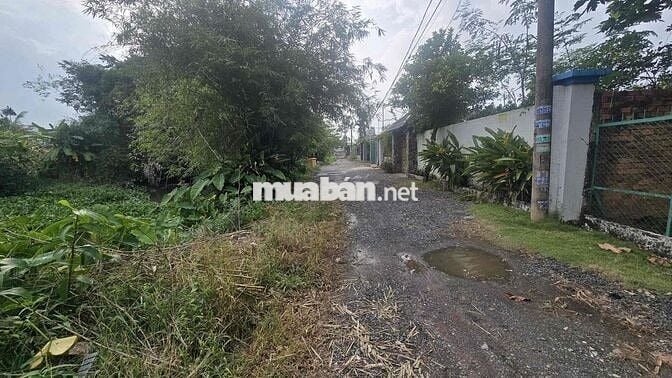 Chủ gởi bán 4900m2 đất thổ cư cầu ông Huyện Bình Mỹ