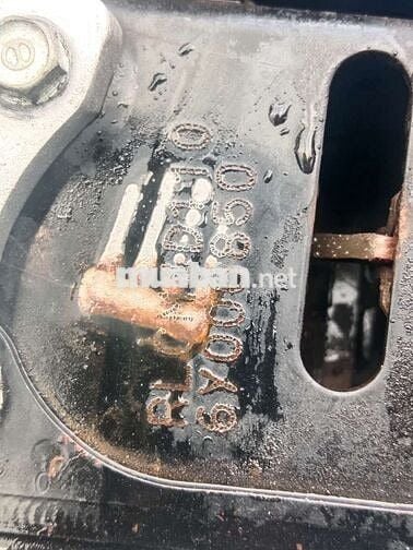 mio Classico thái biển Sài Gòn