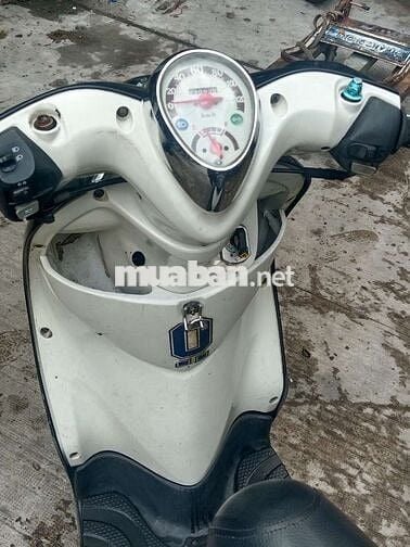 mio Classico thái biển Sài Gòn