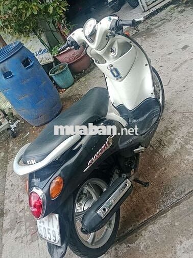 mio Classico thái biển Sài Gòn