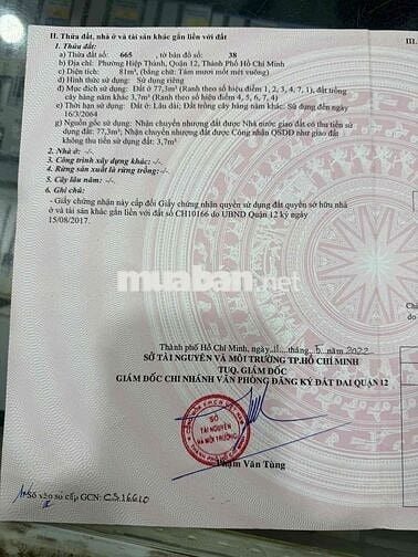 Bán Lô Đất 1/ Trần Thị Hè- 5x16.2 - 81m2- Hẻm 4m- 4tỷ380 bớt lộc