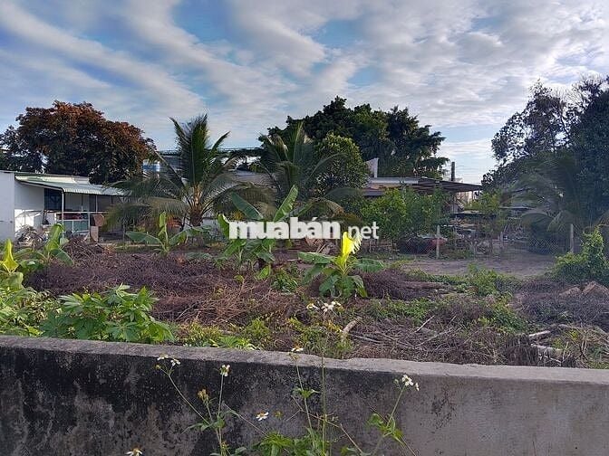 Cần bán lô đất 748m2, có sổ đỏ, hẻm 4m xe tải, đường Nguyễn Trãi