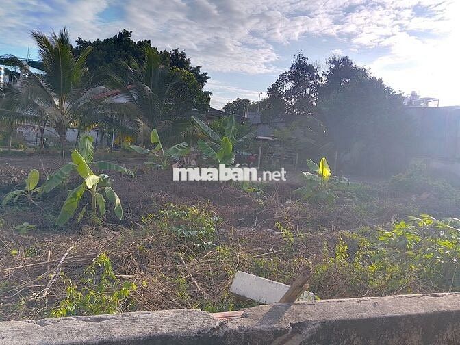 Cần bán lô đất 748m2, có sổ đỏ, hẻm 4m xe tải, đường Nguyễn Trãi