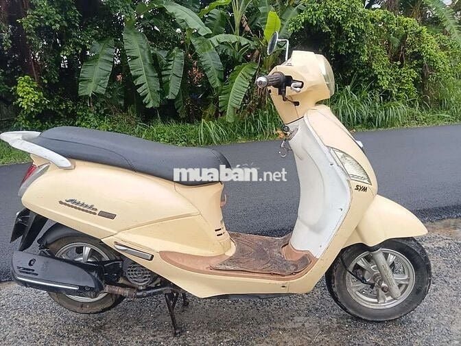 Elizabet Phun Xăng Điện Tử .BSTP - Víp 55Y6 - 3939