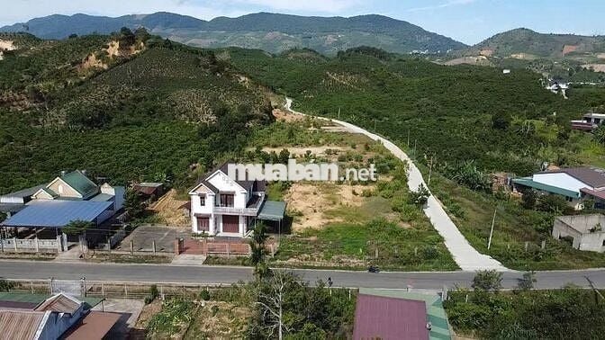 Bán Gấp lô đất mặt tiền Blaoxere diện tích 600m2 giá 410triệu