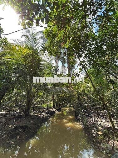 Nền 22x45m Khu 3 Thị Trấn Cái Bè