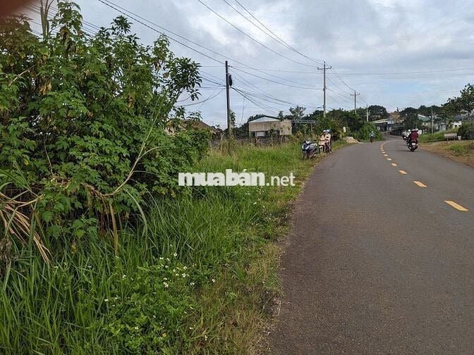 ĐẤT MẶT TIỀN ĐƯỜNG LÝ THÁI TỔ - CÓ THỔ CƯ