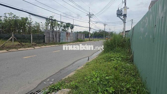 1,2 mẫu đất mặt tiền đường Bình Mỹ có thổ cư bán 82 tỷ