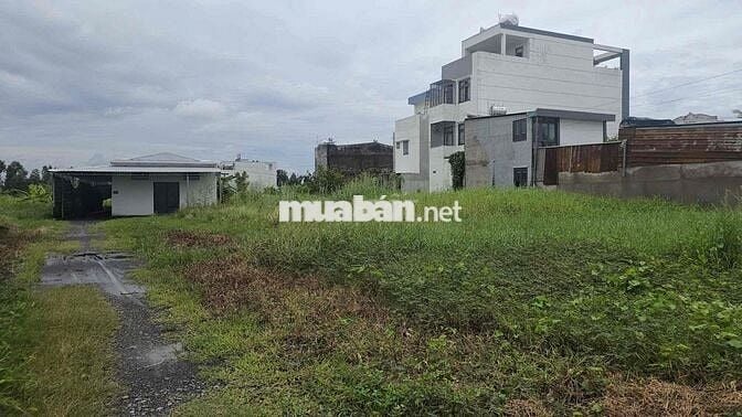 1,2 mẫu đất mặt tiền đường Bình Mỹ có thổ cư bán 82 tỷ