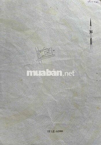 1185m2 xưởng mặt tiền Hà Duy Phiên bán 26 tỷ