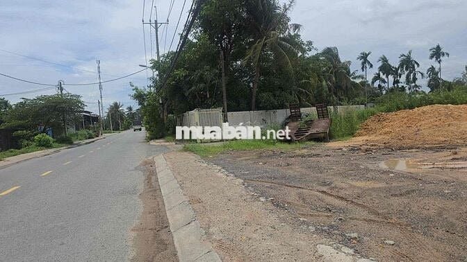 1,2 mẫu đất mặt tiền đường Bình Mỹ có thổ cư bán 82 tỷ