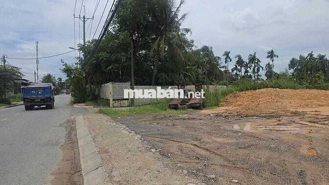 1,2 mẫu đất mặt tiền đường Bình Mỹ có thổ cư bán 82 tỷ