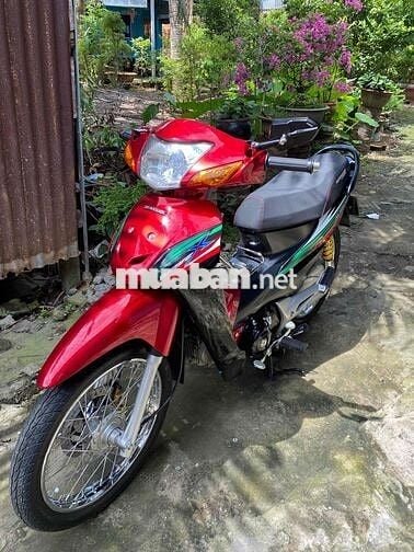 Xe Wave Bụng dọn kiểng full từ trong ra ngoài