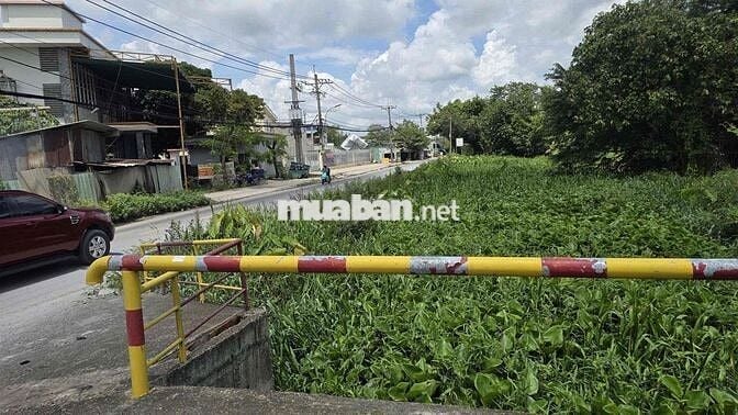 Đấy mặt tiền võ văn bích 42 tỷ