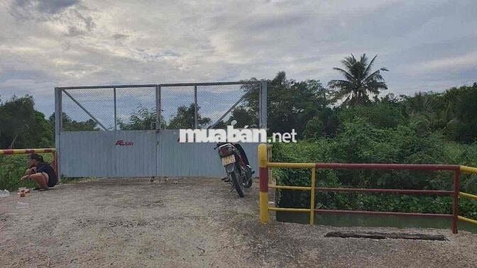 Đấy mặt tiền võ văn bích 42 tỷ