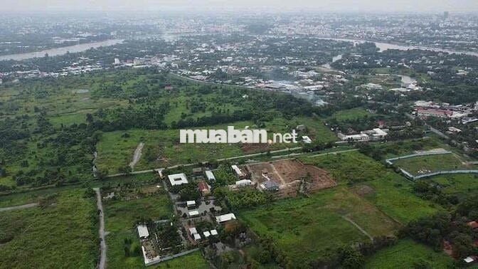 Bán nhà vườn nhiều cây ăn trái giá bán 100 tỷ