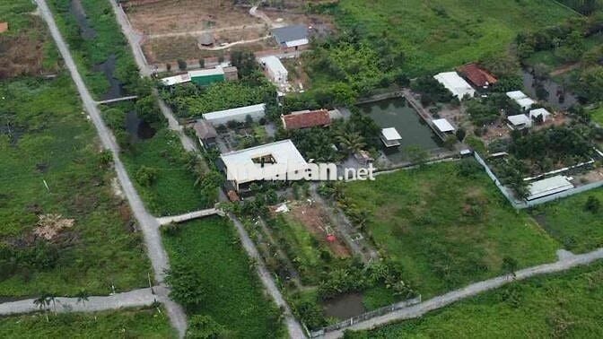 Bán nhà vườn nhiều cây ăn trái giá bán 100 tỷ