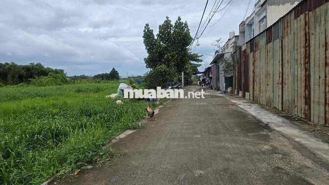 4000m2 đất khu dân cư bán 3,5 triệu m2