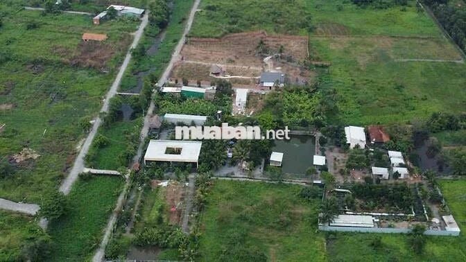 Bán nhà vườn nhiều cây ăn trái giá bán 100 tỷ