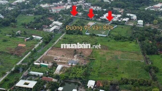 Bán nhà vườn nhiều cây ăn trái giá bán 100 tỷ