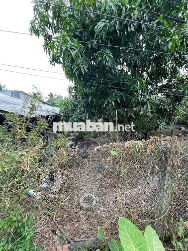 BÁN GẤP ĐẤT MẶT TIỀN LỘ GIỚI 4m gần chợ