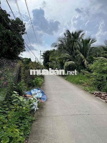 BÁN GẤP ĐẤT MẶT TIỀN LỘ GIỚI 4m gần chợ