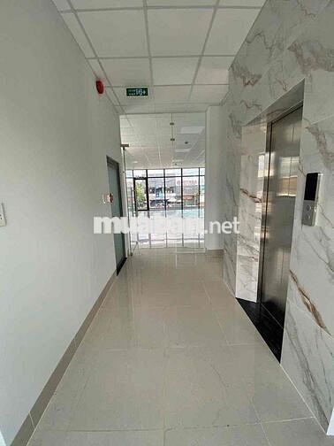 Mặt tiền Đại Lộ Bình Dương Ngay Phố Ngân hàng 1 trệt 5 lầu có pccc