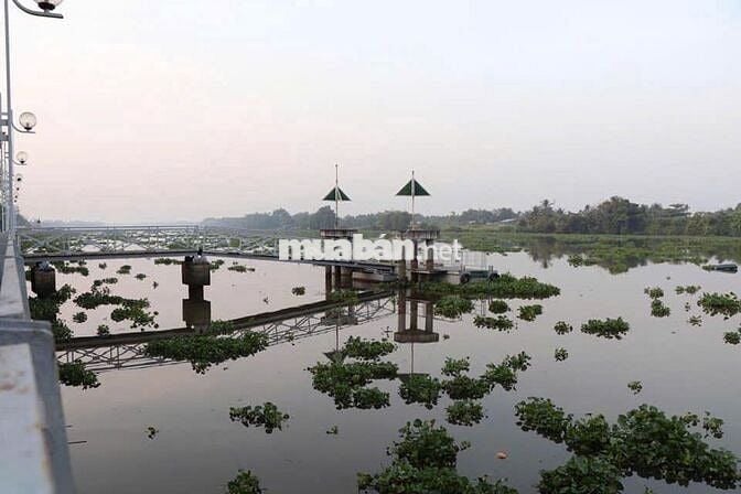 CHO THUÊ CĂN HỘ FULL NỘI THẤT 6TR– CỌC 1 THÁNG – KHU BIỆT THỰ TIAMO