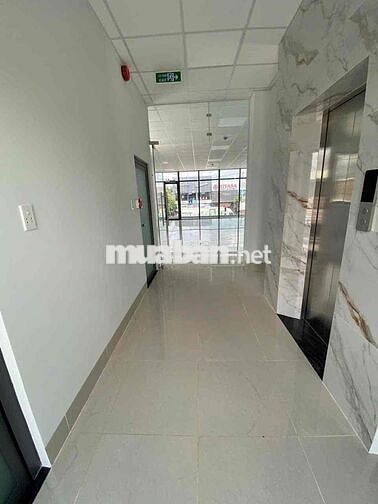 Mặt tiền Đại Lộ Bình Dương Ngay Phố Ngân hàng 1 trệt 5 lầu có pccc