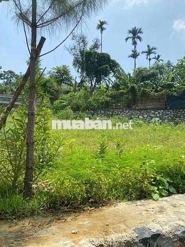 Cần bán lô đất tại Phú Cát mới , f0, 3 mặt tiền, DT 78,4m2 , ô tô