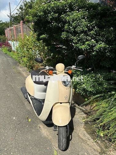 Dư Dùng Thanh Lý tay ga 50cc