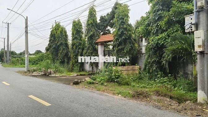 HOMESTAY TRUNG TÂM XÃ PHƯỚC HẢI RA BIỂN 3,5KM
📐Diện tích 18,7x48-917m