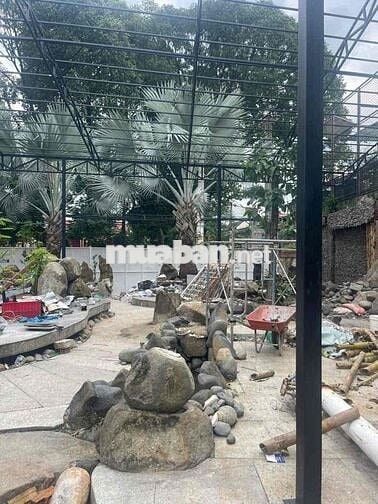 Cần cho thuê MTKD P.Tam Phú. Thủ Đức