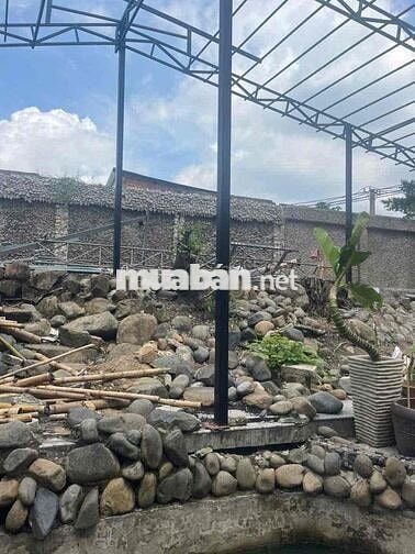 Cần cho thuê MTKD P.Tam Phú. Thủ Đức