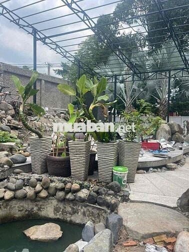 Cần cho thuê MTKD P.Tam Phú. Thủ Đức