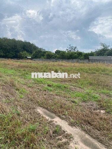 1,9 hecta đất mặt tiền Tỉnh Lộ 7 bán 80 tỷ