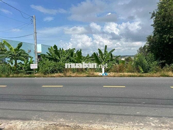 SIÊU PHẨM ĐẤT NỀN 1000M² – MẶT TIỀN TL842 P. AN BÌNH B, TP. HỒNG NGỰ