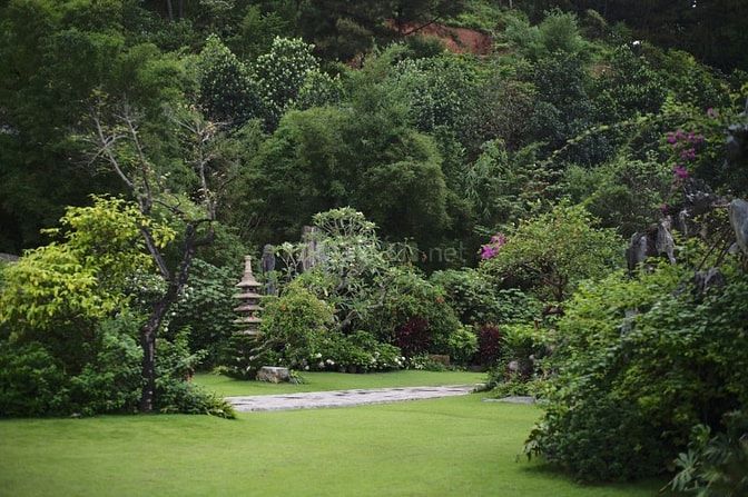 CHÍNH CHỦ BÁN ĐẤT TRANG TRẠI 50 NĂM DIỆN TÍCH 5000M Ở ĐÔNG ANH ,HÀ NỘI