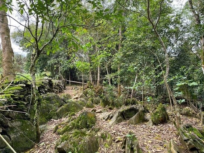 CHÍNH CHỦ BÁN ĐẤT TRANG TRẠI 50 NĂM DIỆN TÍCH 5000M Ở ĐÔNG ANH ,HÀ NỘI